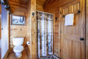 a bathroom with a toilet and a shower at Whisk-A-Way - Hot Tub, Pool Table & Jacuzzi! in Abbeyville +38 photos