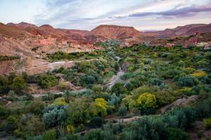 a view of a valley with trees and mountains at Taddart n Dades in Boumalne Dades