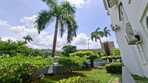 a palm tree in a yard next to a building at Studio Suite 11 in Ocho Rios