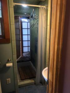a bathroom with a shower and a sink at Art and Book Lovers in Eugene
