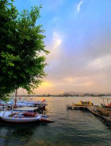 a group of boats docked at a dock in the water at Flower House in Al Aqālitah