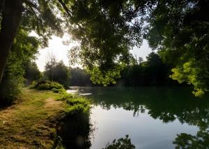 a view of a river with the sun reflecting in the water at Dortoir en charente in Jarnac