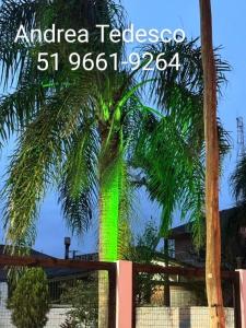 a palm tree with a green light on it at Canto dos pássaros in Tramandaí