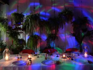 a table in a room with lights and plants at Hostel Torre Bahia in Salvador