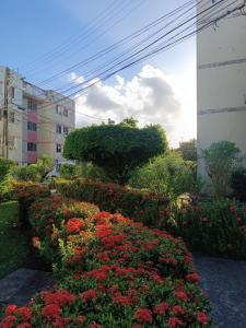 a garden with red flowers in front of a building at Apartamento Morada dos Sonhos in Lauro de Freitas