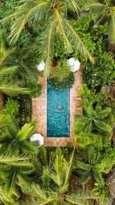an aerial view of a person swimming in a swimming pool at Selvática in Gili Islands