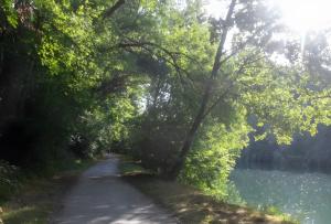 a dirt road next to a river with trees at Dortoir en charente in Jarnac +3 photos