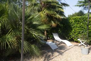 a white chair sitting next to a palm tree at Dortoir en charente in Jarnac