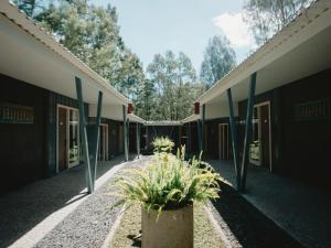 a row of buildings with potted plants in the courtyard at Singgah Ijen in Biau