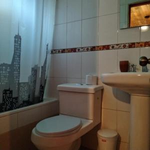 a bathroom with a toilet and a sink at cabañas roccajoma in Salto del Laja