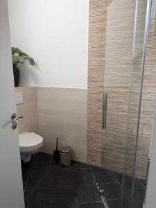 a bathroom with a toilet and a glass shower at RS home CB 1 in Cottbus