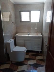a bathroom with a toilet and a sink and a window at la casa del cerro in Casas de Batuco