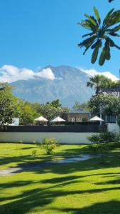 a green field with a building and mountains in the background at Palm Springs Bali Dive Resort in Tulamben