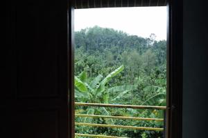 a window with a view of a banana plantation at Aroli Homestay in Kalasa