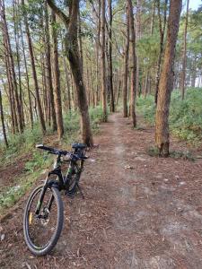 a bike parked on a trail in the woods at Pleiku Adventures Homestay in Bien Ho