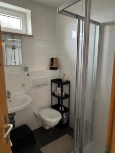 a bathroom with a toilet and a sink and a shower at Apartment in Rimpar in Rimpar +15 photos