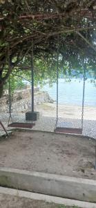 two swings in front of a beach with the water at Kings guest house in Tuktuk Siadong