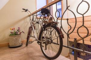 Jazda na bicykli v okolí ubytovania Apartament KROKUS