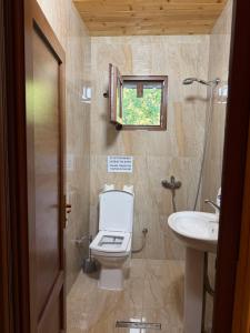 a bathroom with a toilet and a sink at Guesthouse Demushi in Valbonë