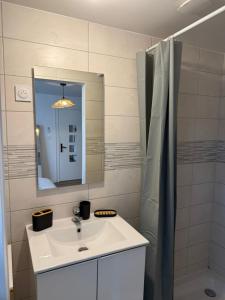 a bathroom with a sink and a mirror and a shower at Charmant Studio privé en maison in Villenave-dʼOrnon