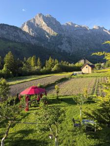 a red umbrella in a field with mountains in the background at Guesthouse Demushi in Valbonë +38 photos