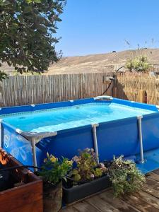 a blue pool with a table and some plants at היורט על הגג - צוקים in Zuqim