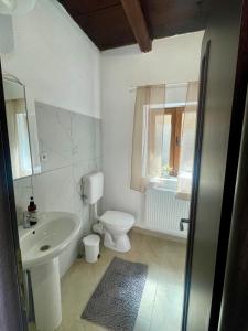 a white bathroom with a sink and a toilet at Pensiune Family & Friends Crit 168 in Criţ