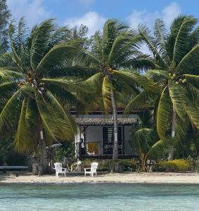 a house on the beach with two palm trees at Hanivai Beach Bungalow in HUH