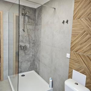 a bathroom with a shower and a white toilet at Kamienica Nowodworska 30 in Bydgoszcz +47 photos