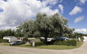 a car parked under a tree in a parking lot at Camping Les Nysades in Mirepoix