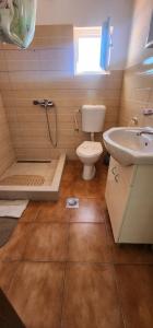 a bathroom with a toilet and a sink and a shower at Maca apartmani in Utjeha +107 photos