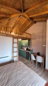 a bedroom with a loft bed and a kitchen at Stone Loft Suite in Karpenisi