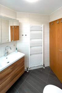 a bathroom with a sink and a mirror at Bauernhof Mayer in Owingen +55 photos