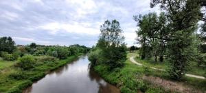 a view of a river from a bridge at Domki Strumieniowa in Wólka Tanewska +1 photo