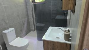 a bathroom with a white toilet and a sink at Pine Apartments Mavrovo in Mavrovo