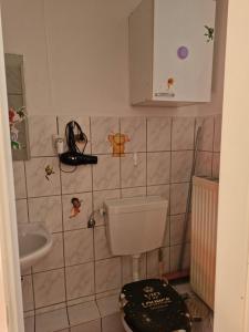 a small bathroom with a toilet and a sink at Apartment 4 nähe Elmshorn Barmstedt in Bokholt-Hanredder +6 photos