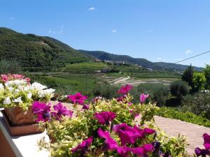 ネグラールにあるB&B Paradisoの景色を望むバルコニーに花がたくさんあります。