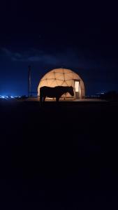 a horse standing in front of a domed building at night at Old stones glamping in Chok-Tal