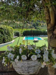 a swing hanging from a tree with white flowers at B&B Badde Tale in Ossi +26 photos