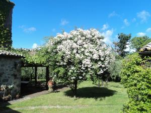 A garden outside La Chiusetta