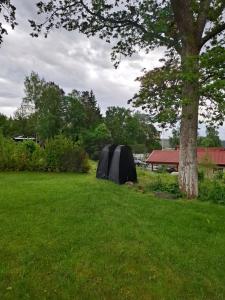 a tent in a field next to a tree at Glamping in Alingsås +9 photos