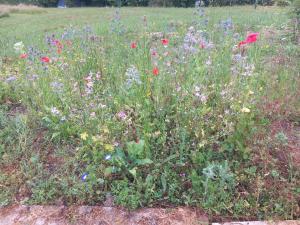 a field of flowers in the middle of a field at La yourte gasconne in Estampures