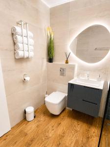 a bathroom with a toilet and a sink and a mirror at CBN Cabana in Muntele Cacovei +10 photos