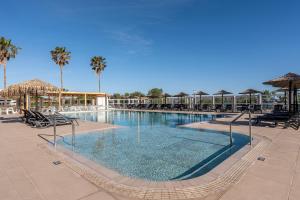 a large swimming pool with chairs and palm trees at Akti Dimis Hotel in Tigaki