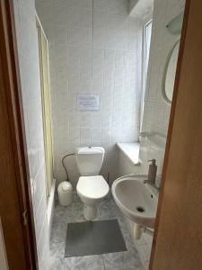 a small bathroom with a toilet and a sink at Vievija in Vievis