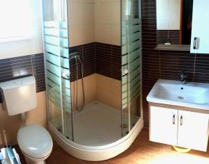 a bathroom with a shower and a toilet and a sink at Apartments Bašić Pirovac - Sea view - Small and large groups in Pirovac +52 photos