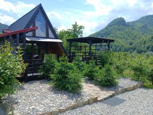 a cabin with a gazebo and some plants at Maria's Cabin & Spa in Băiaşu