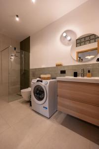 a bathroom with a washing machine and a toilet at Asini deluxe suite 1, with rooftop terrace and breathtaking views in Asíni