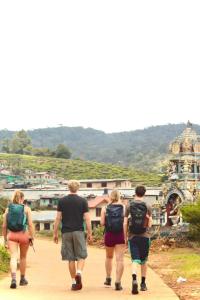 a group of people walking down a path at Laughing Leopard Hostel in Nuwara Eliya +12 photos