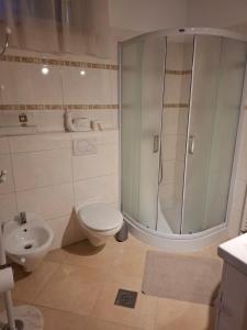 a bathroom with a shower and a toilet and a sink at Apartman Natali in Buzdohanj +8 photos